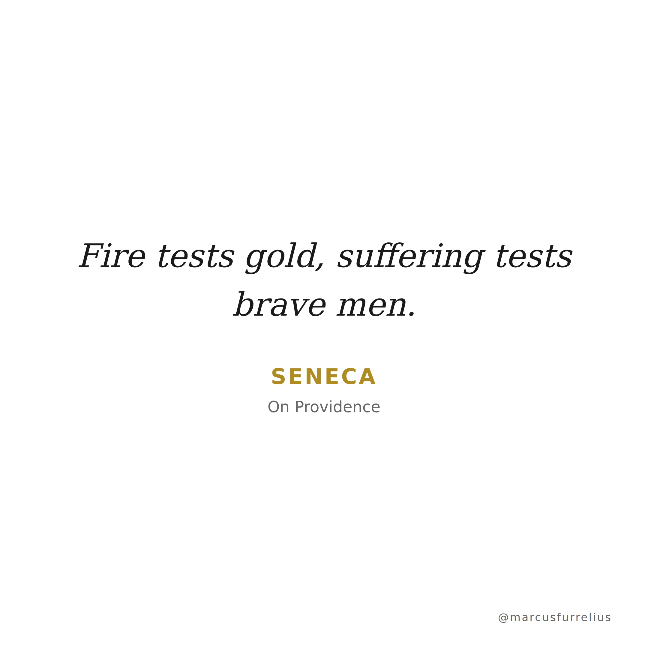 Quote by Seneca: Fire tests gold, suffering tests brave men.