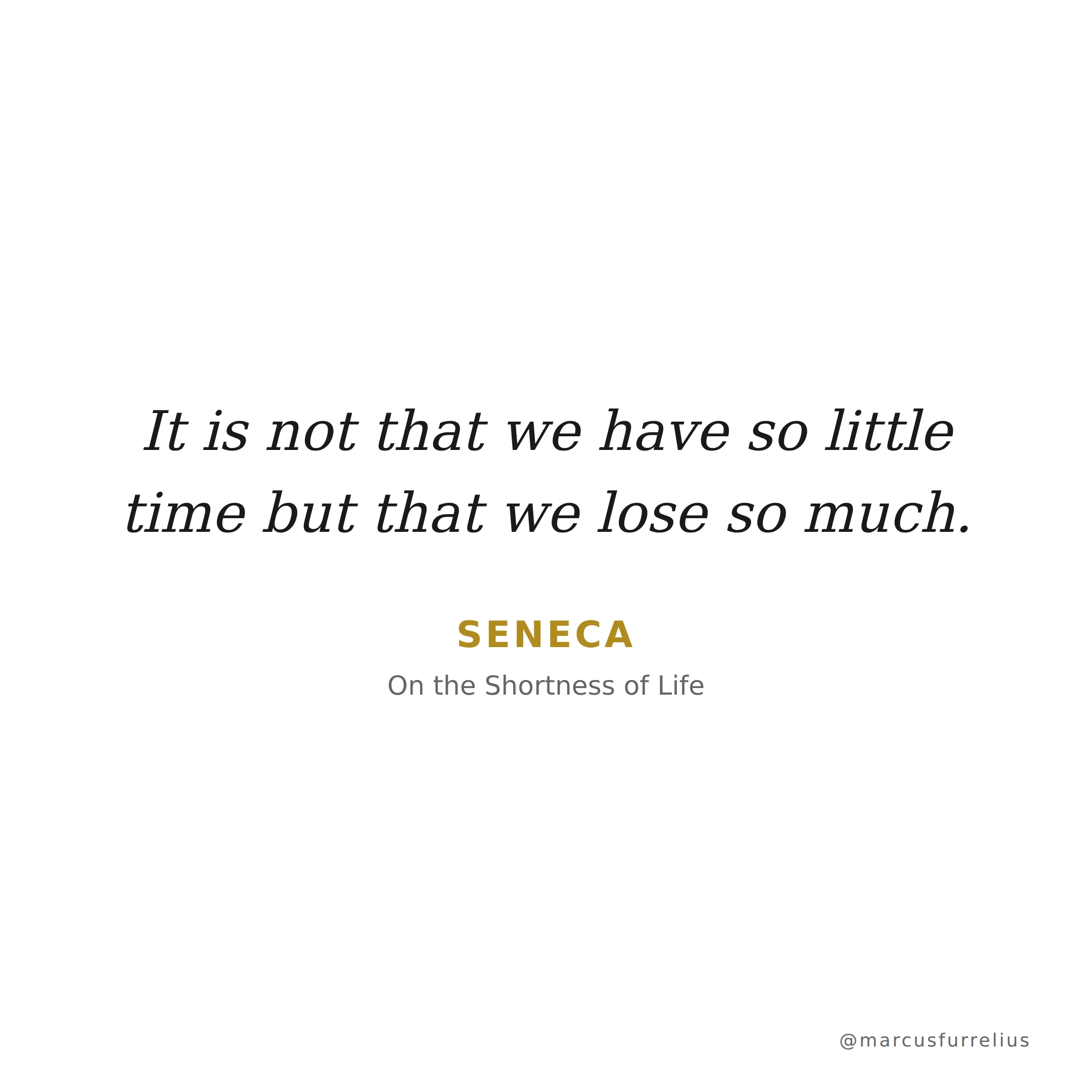 Quote by Seneca: It is not that we have so little time but that we lose so much.