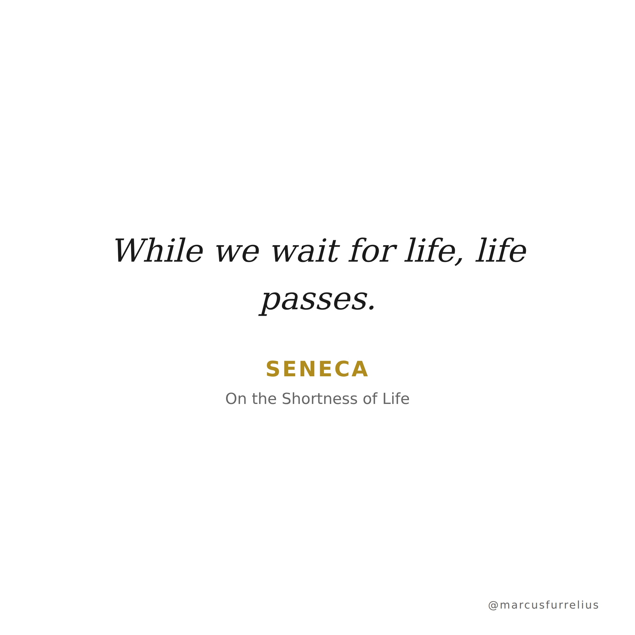 Quote by Seneca: While we wait for life, life passes.